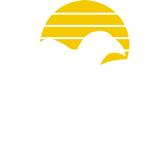 Blitz Serviços